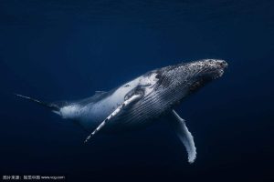 I WANT TO BE A SCHOLAR