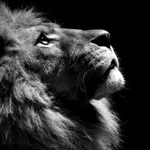 ★★The sound of silence★★