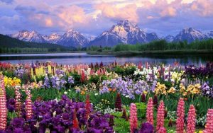 I FOUND SOMETIMES I WAS A MAN WHO HAD NOT VERY STEADY DIRECTIONS