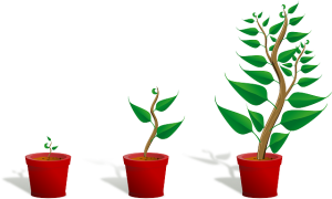 Joy of growth