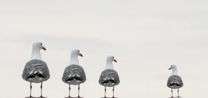 New idiom ~ “ pick on “