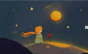 The life of the little prince
